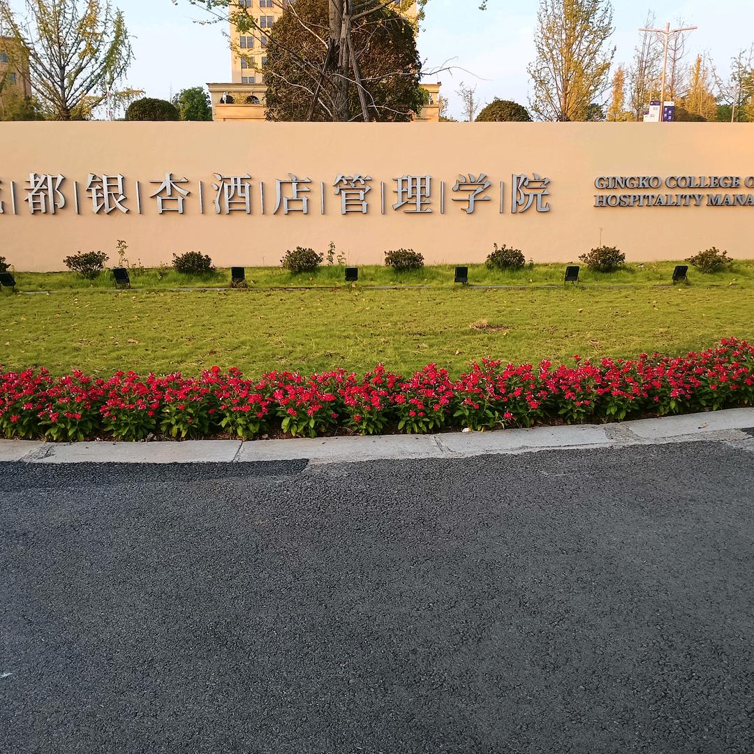 敬以后，惜未来