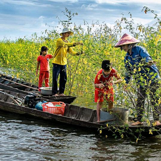 anhuy ct 65 thốt nốt