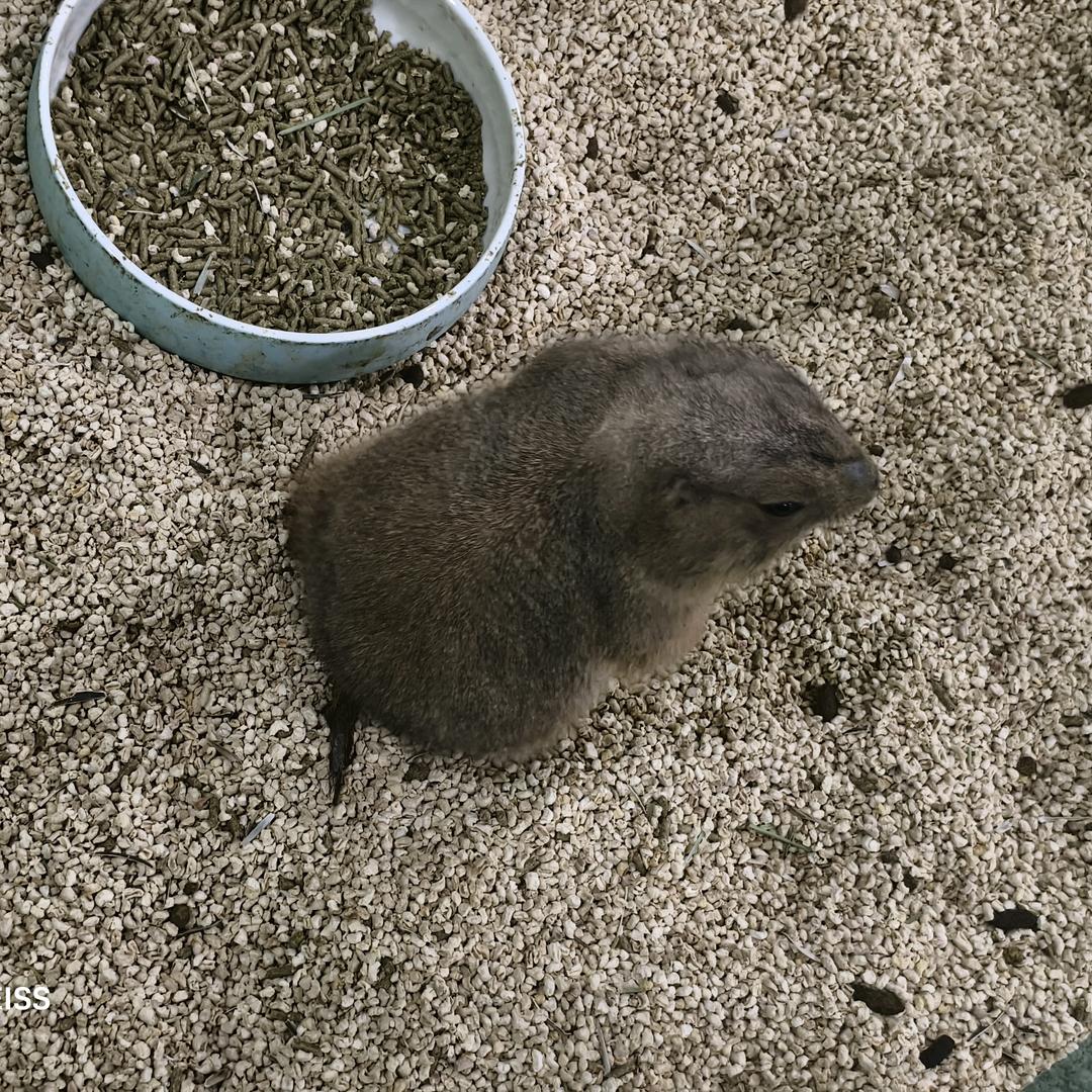 阿东好物