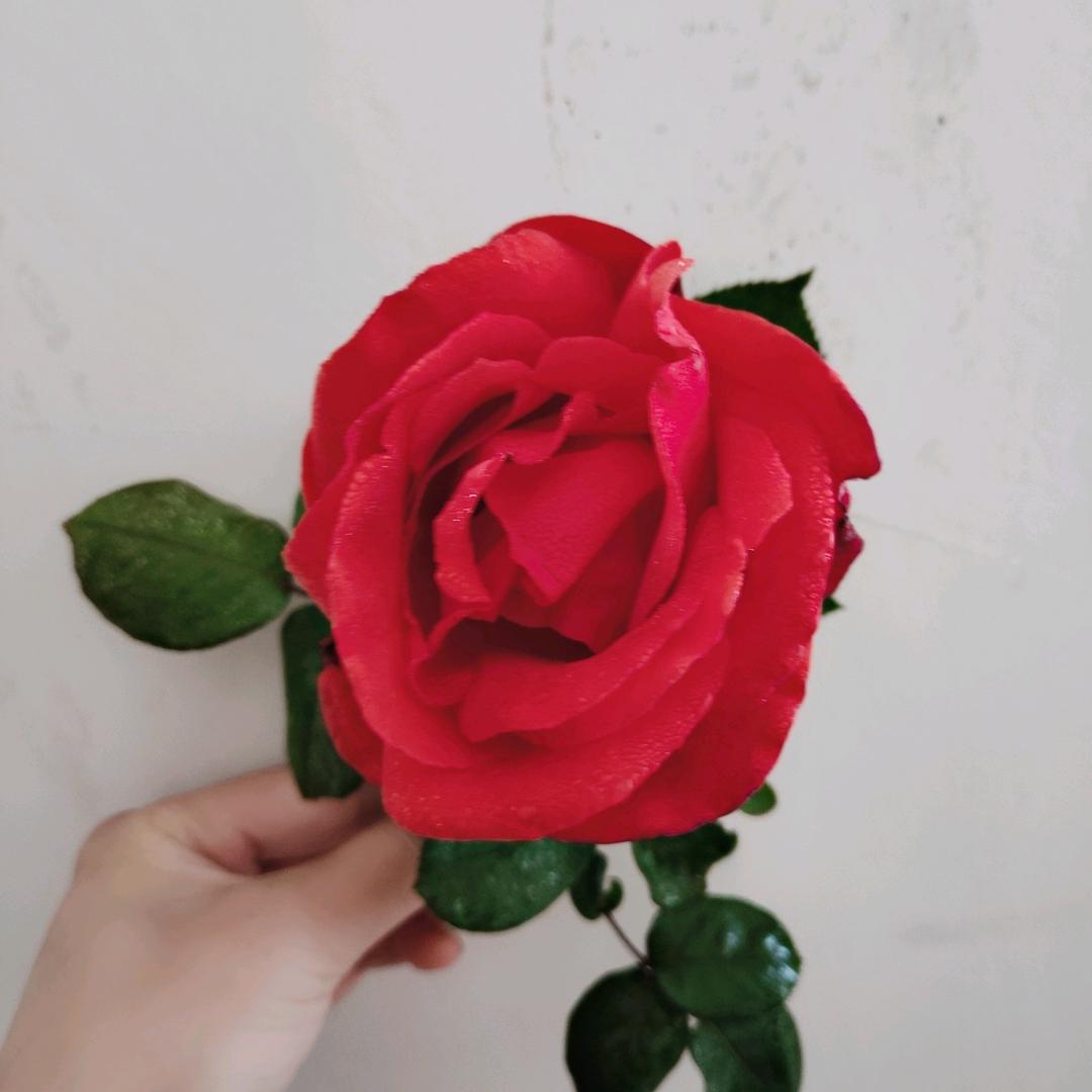 万象皆春