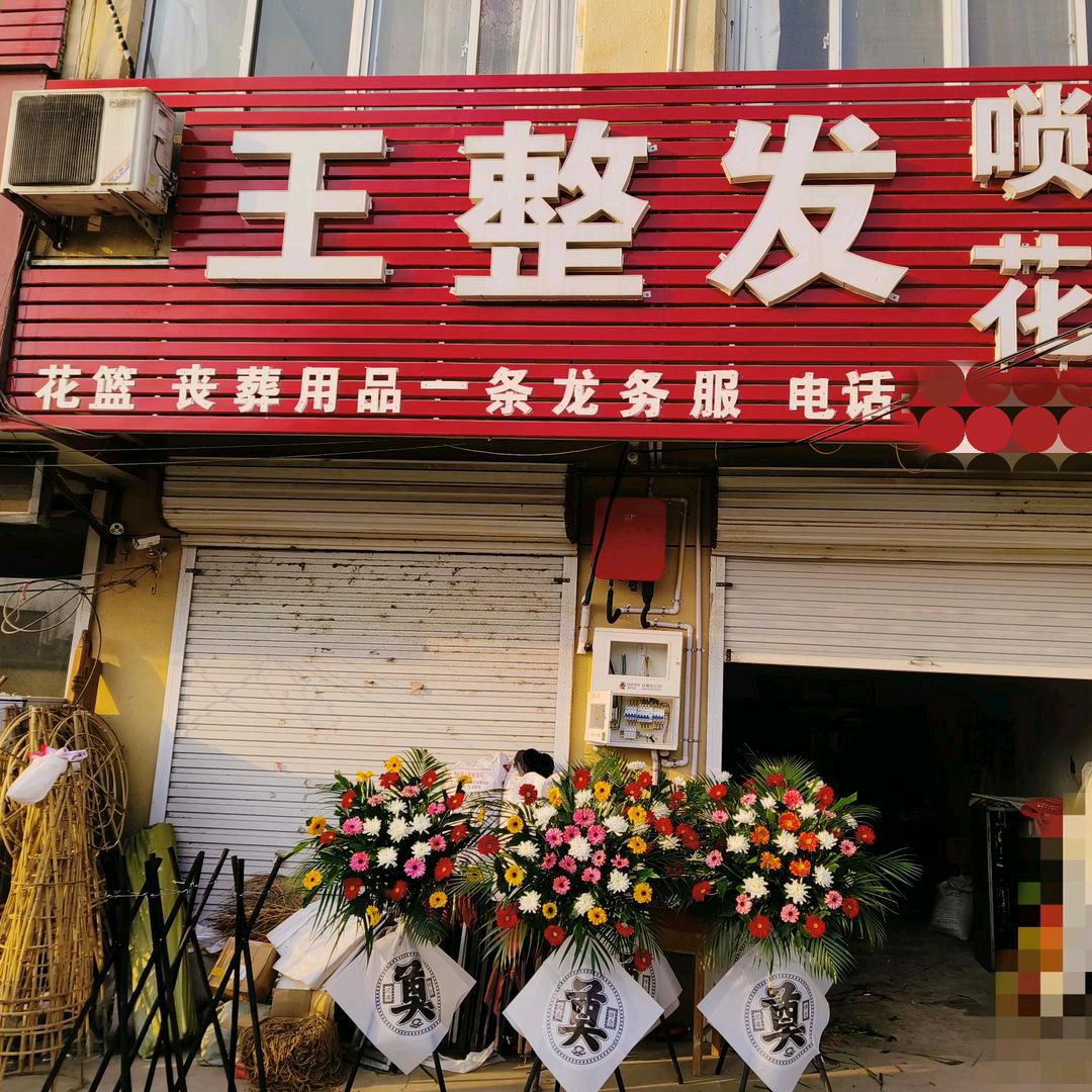 小菲菲🌷🌿