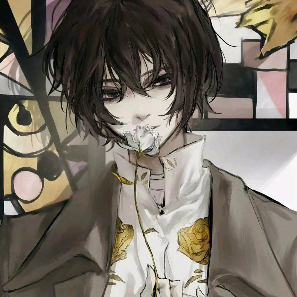 小菲💫