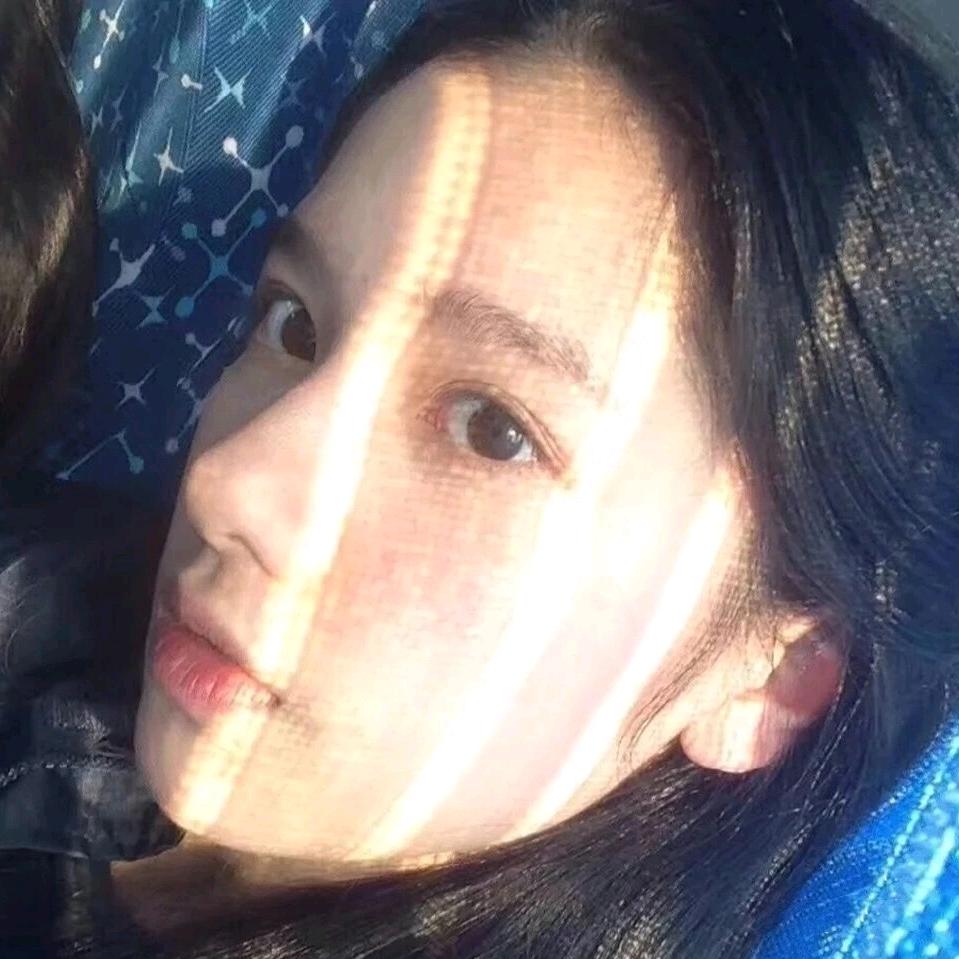 鸽子被放鸽子