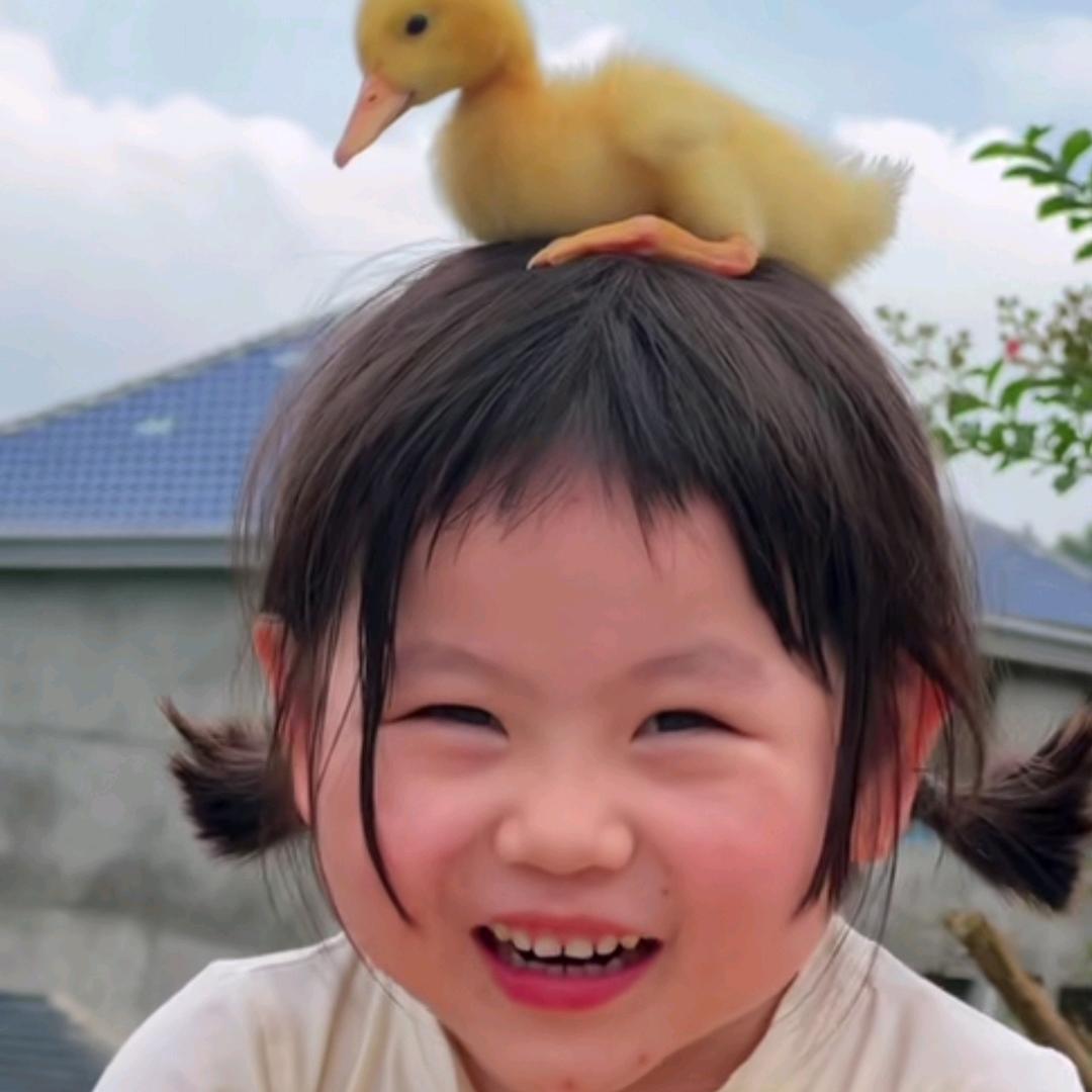 不说不说