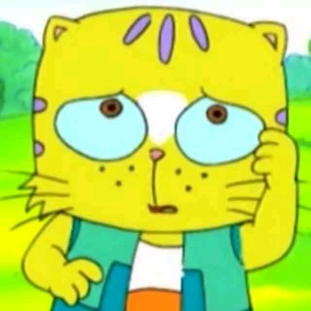 大脸猫9527