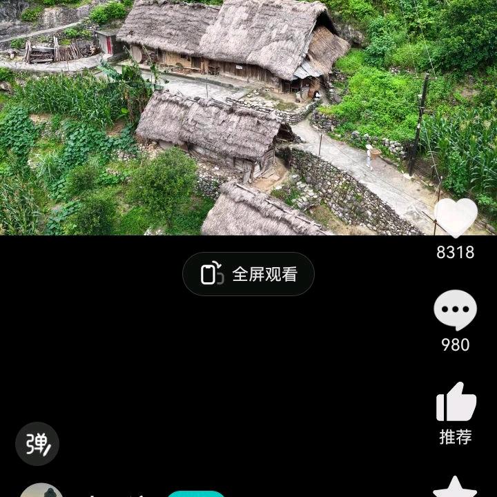 李新华