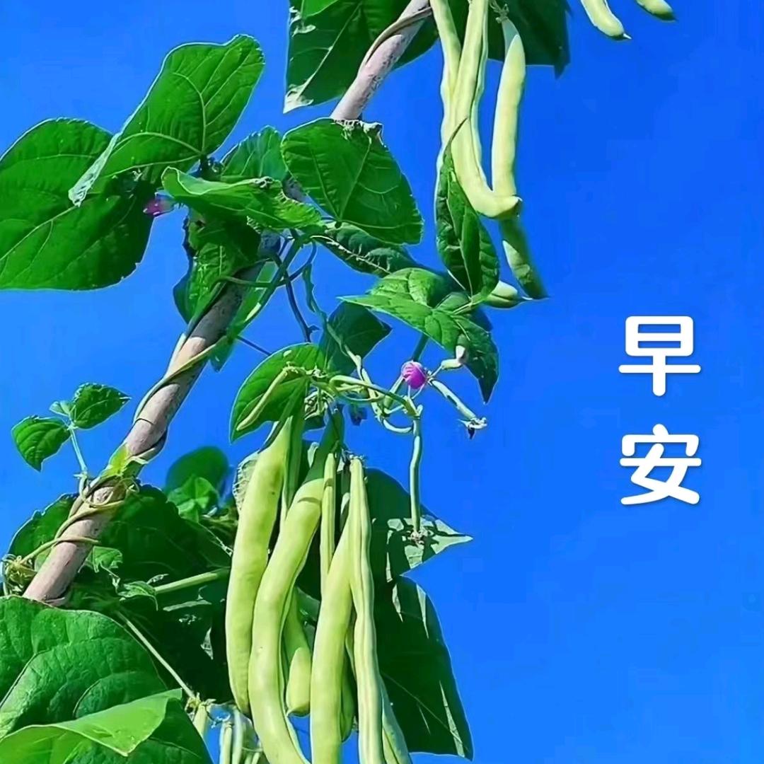 小江