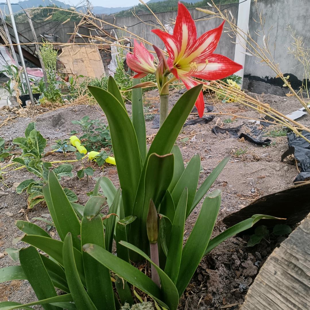 ༊ღ᭄悄无声息꧔ꦿ᭄💞