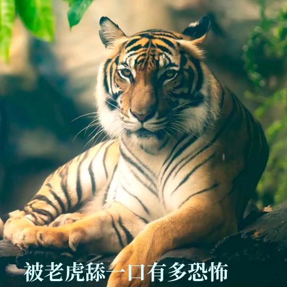 💘风流☞帅气💘