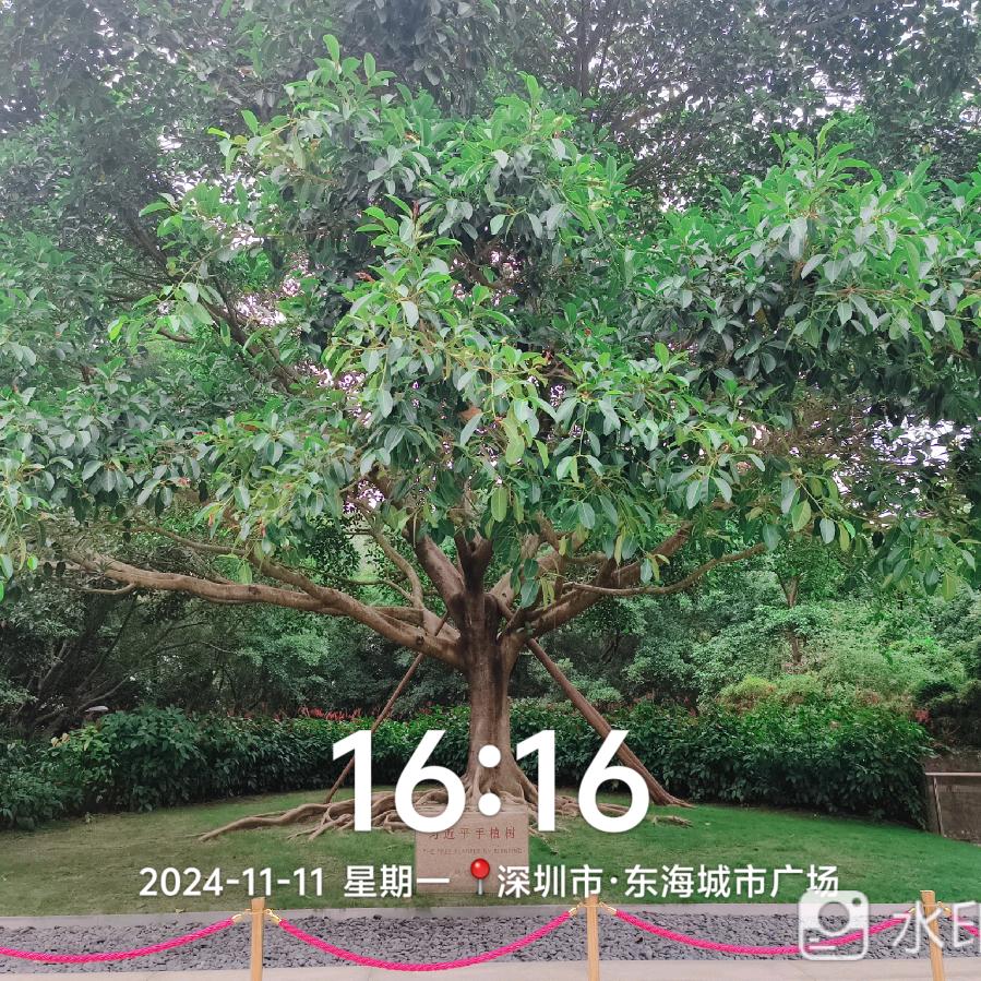 用户6650284533449大海