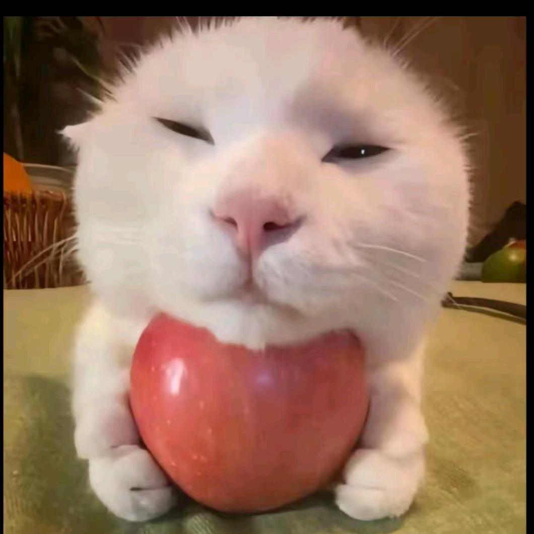 小宁