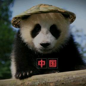 余小嘴的遥遥领先（定制车载找平床垫）