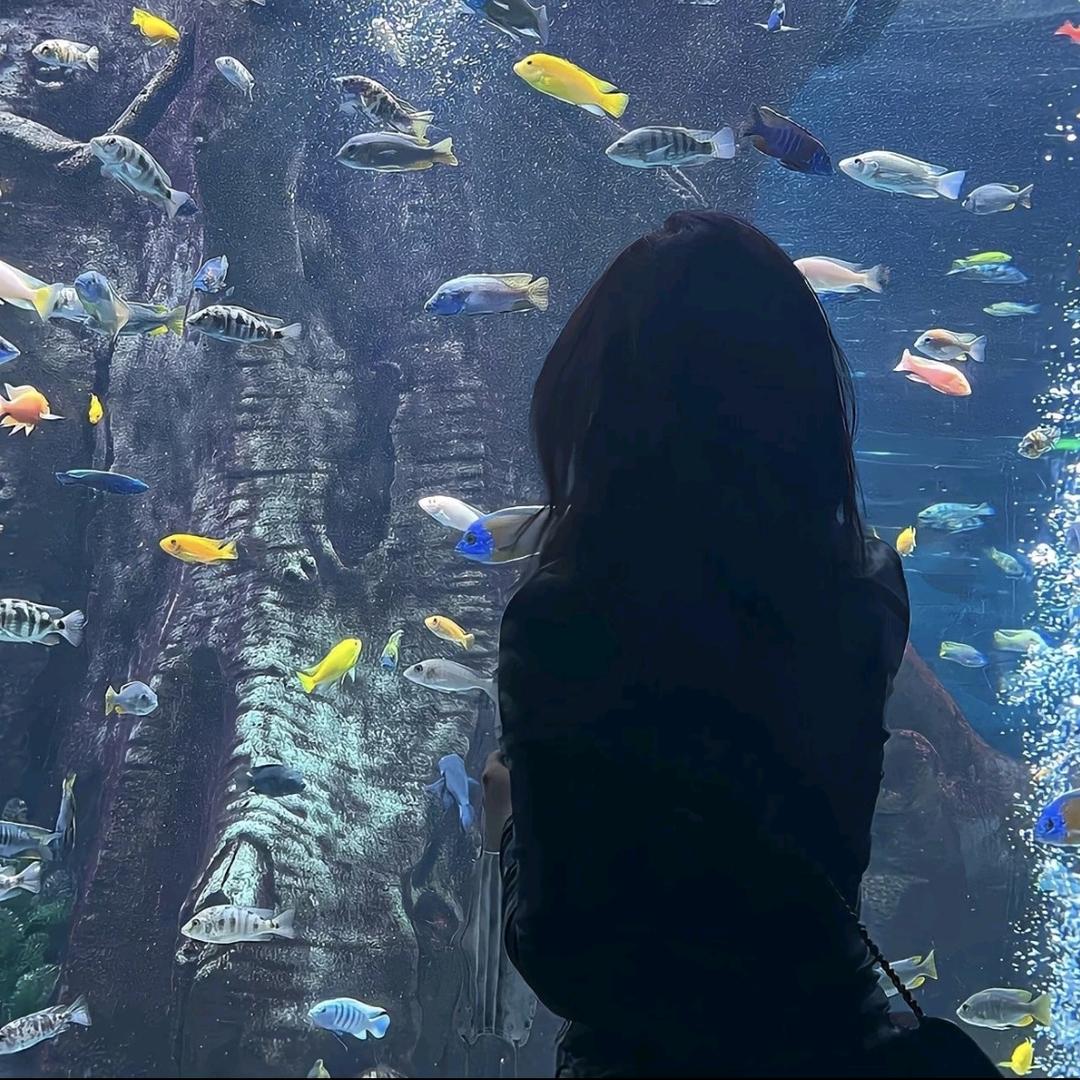 海边捡贝壳🐚