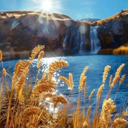 以心换心❤️鲁南制药