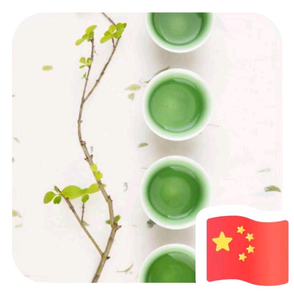 博导