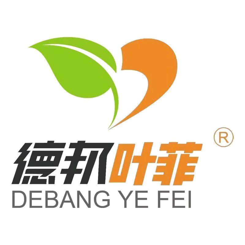 德邦叶菲知识分享张媛媛