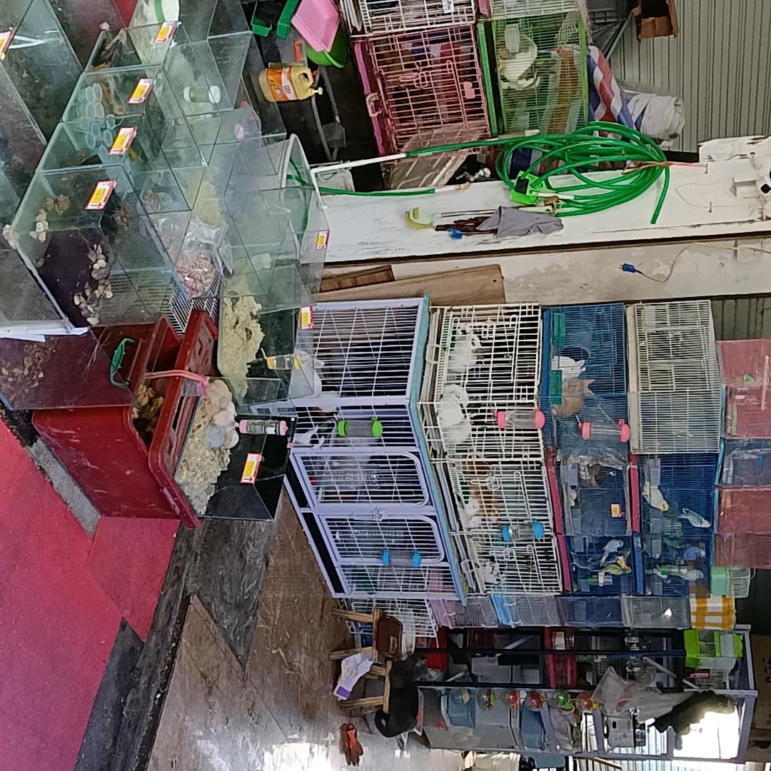 吴先生小宠超市