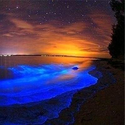 嘉樂𝓵𝓾𝓬𝓴