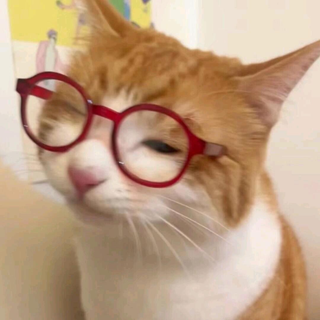 神奇的俊仁