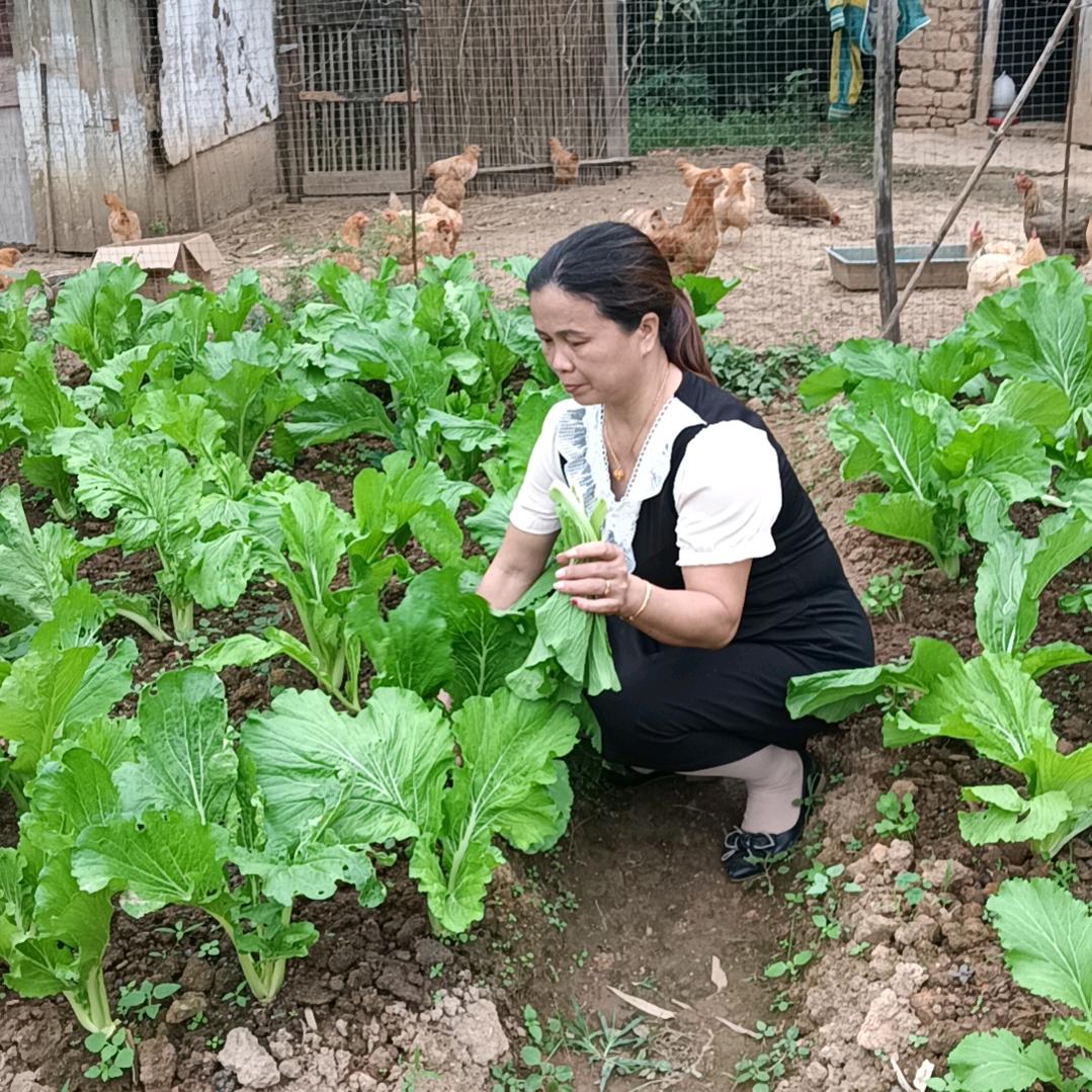 制衣姐(每晚21：30)
