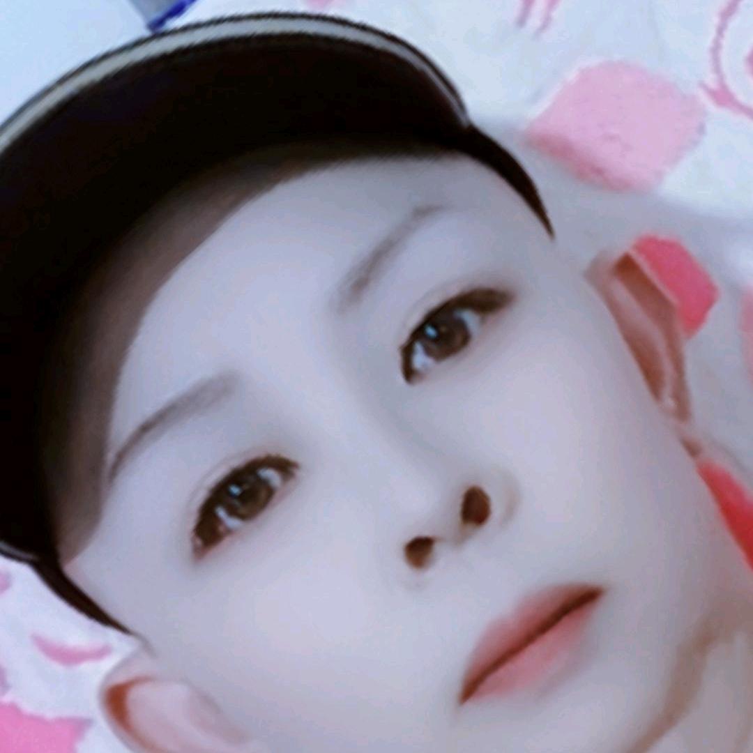 单只蝴蝶