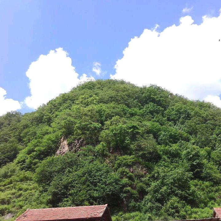 正能量LYl