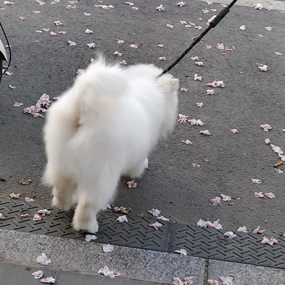 天天