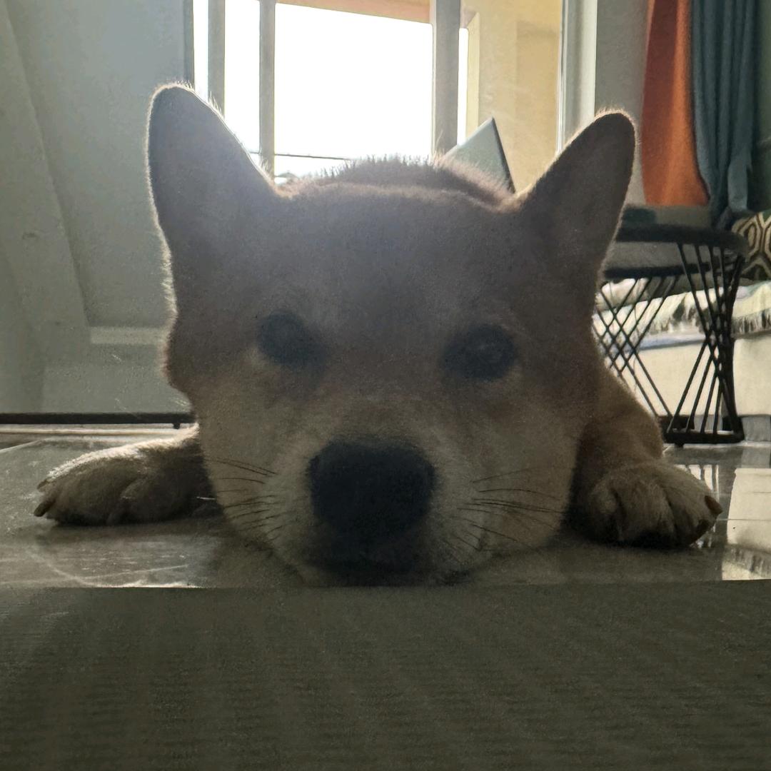 拾🇨🇳