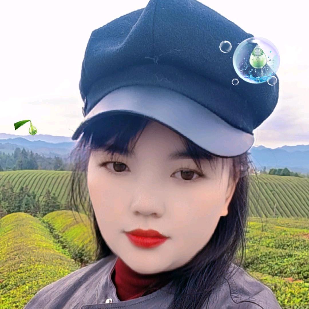 美梅