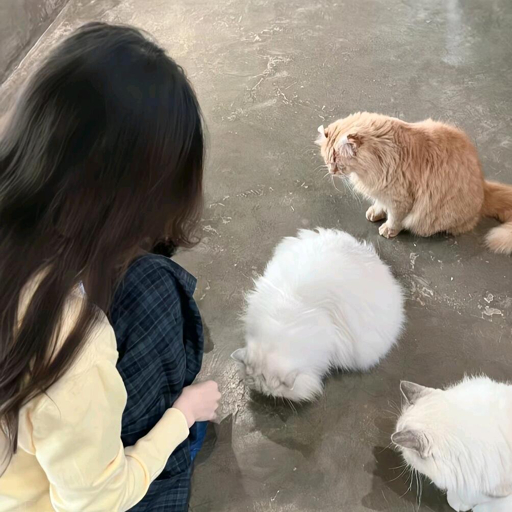 小懒