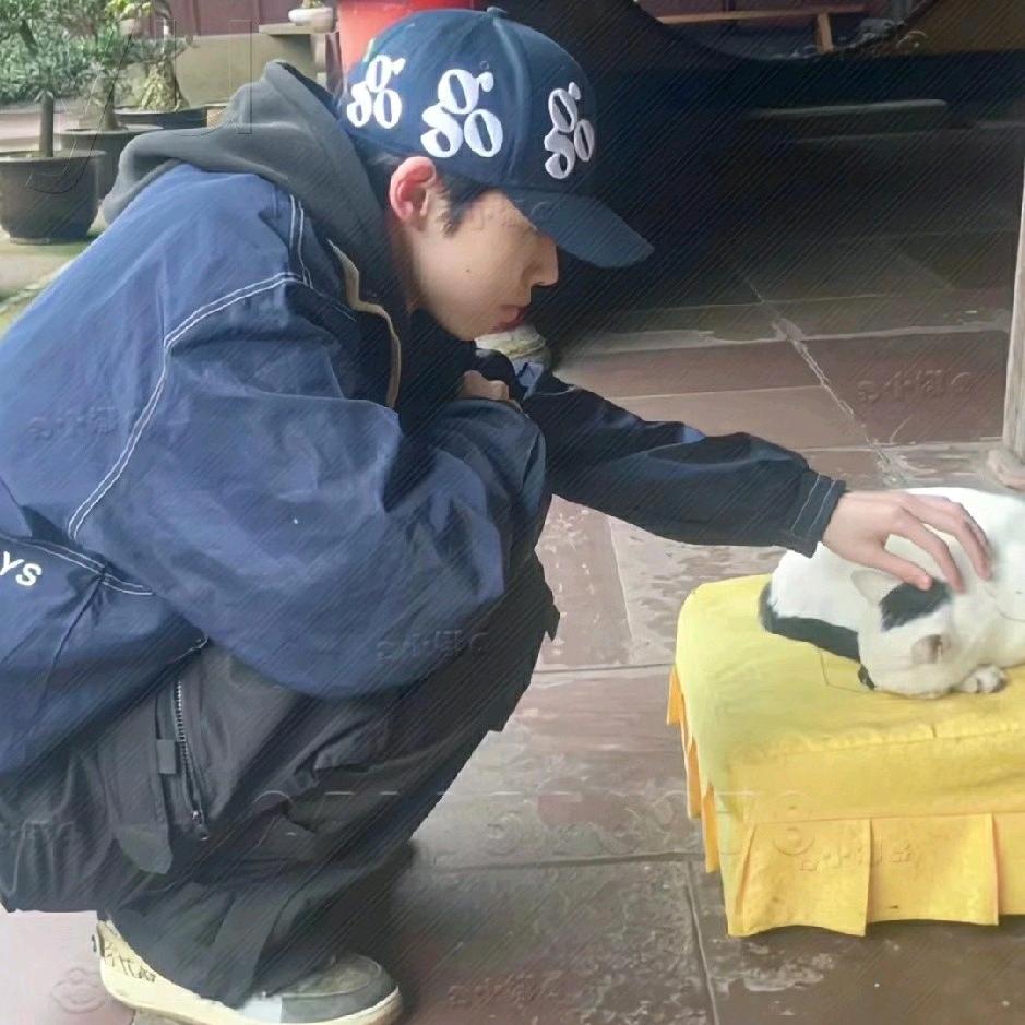 半辰