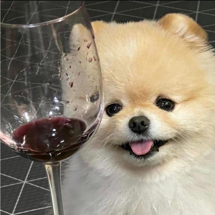 被一包薯片收买