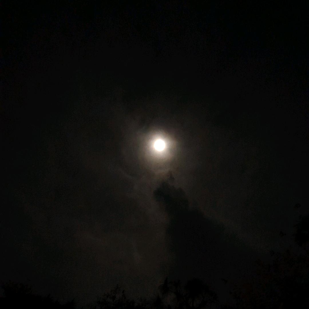 落日晚风的尽头