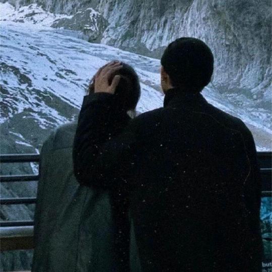 人生若只如初见