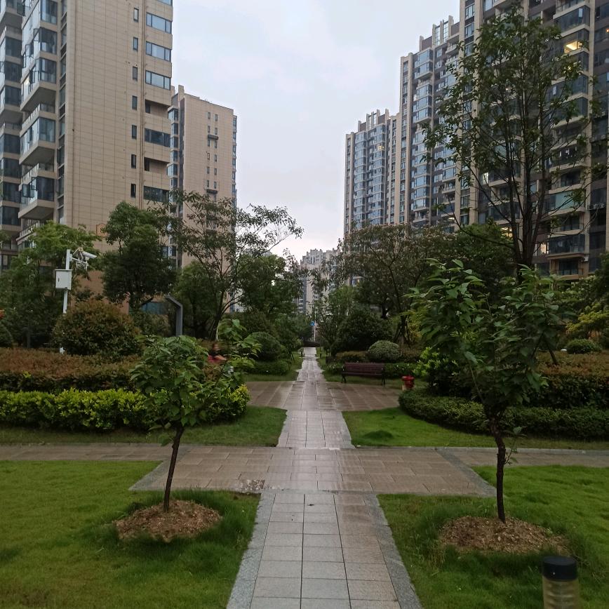 @九八哥
