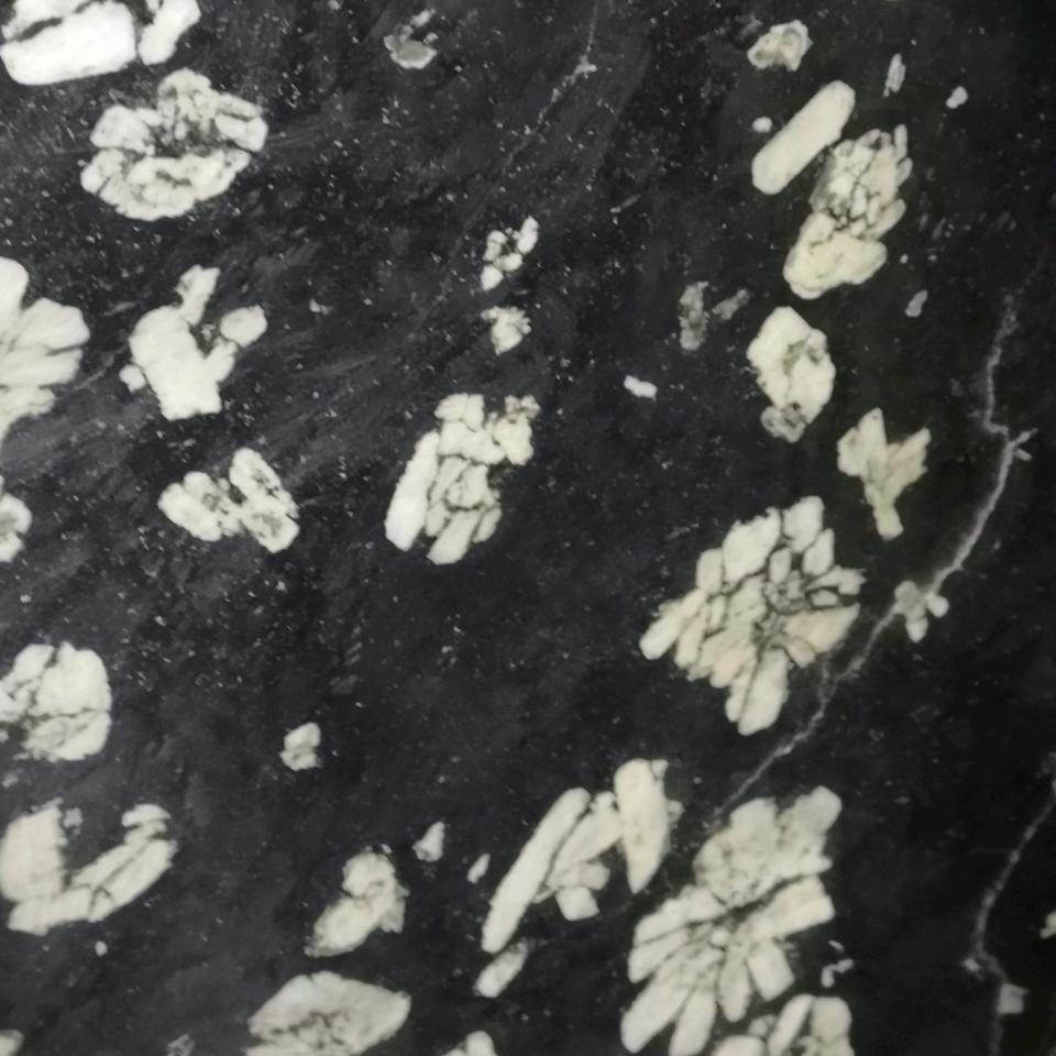 鸭鸭