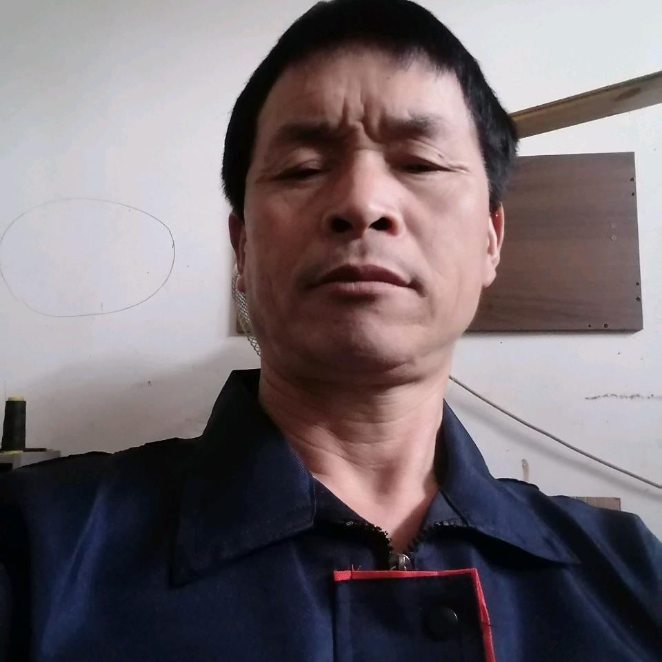 四季连连