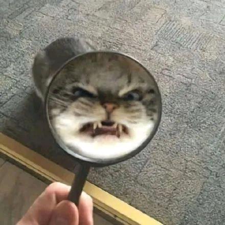 王大壮