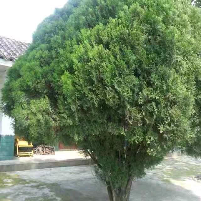 有你才好