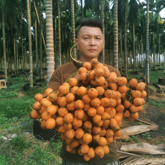 阿泽《文昌迈号燕发庄园》