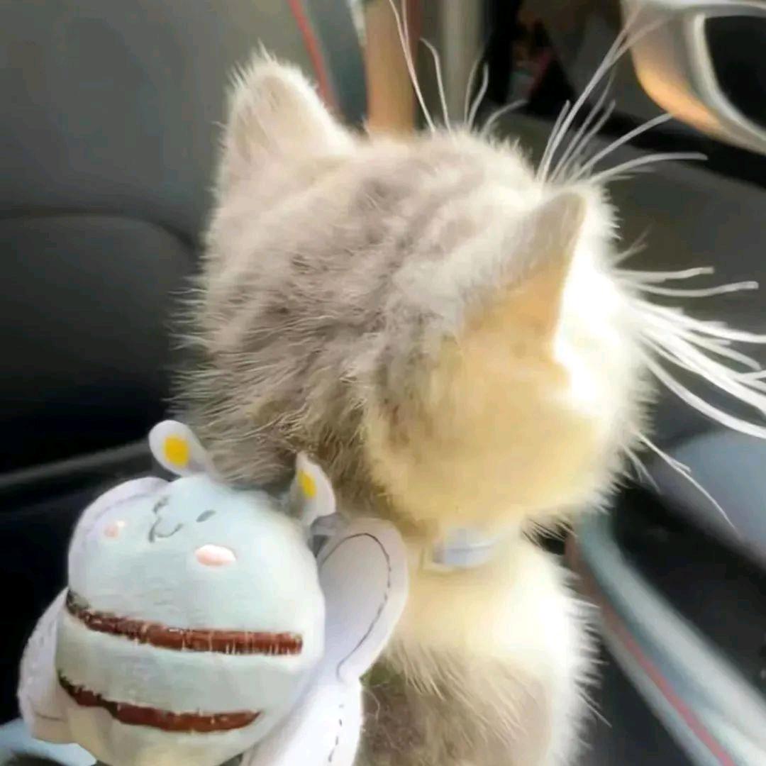 笙
