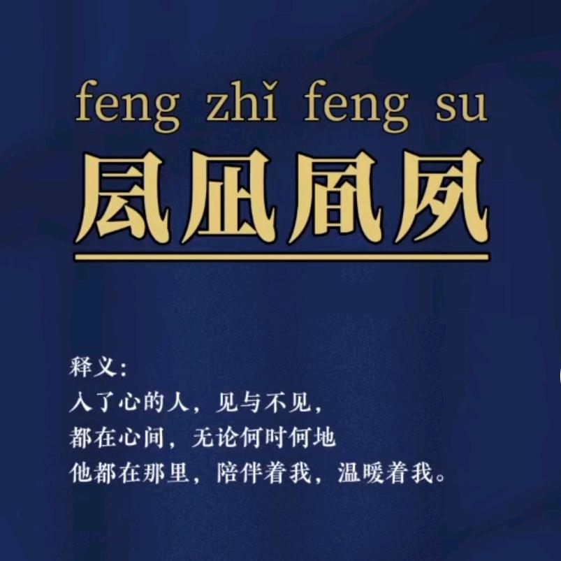 呆头