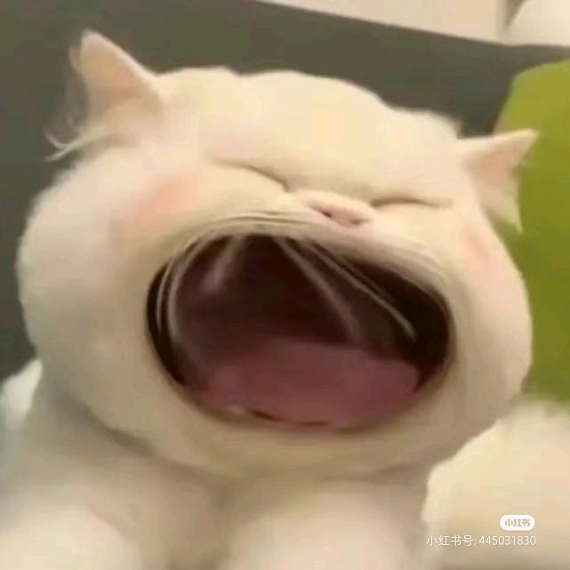 爱意随风起