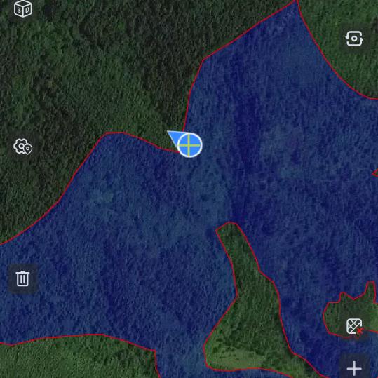 ⋆☽爱拼才会赢