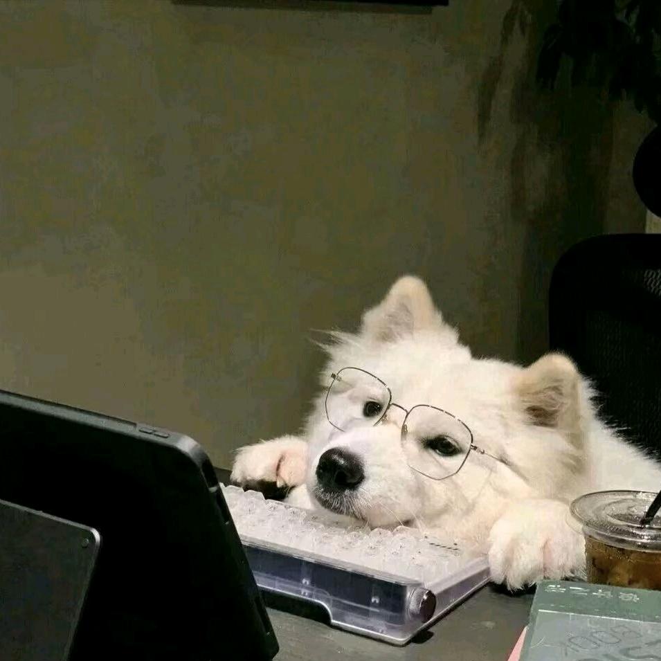 赤乐乐