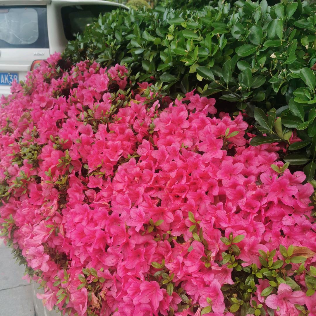 衢州膝管家俞姐