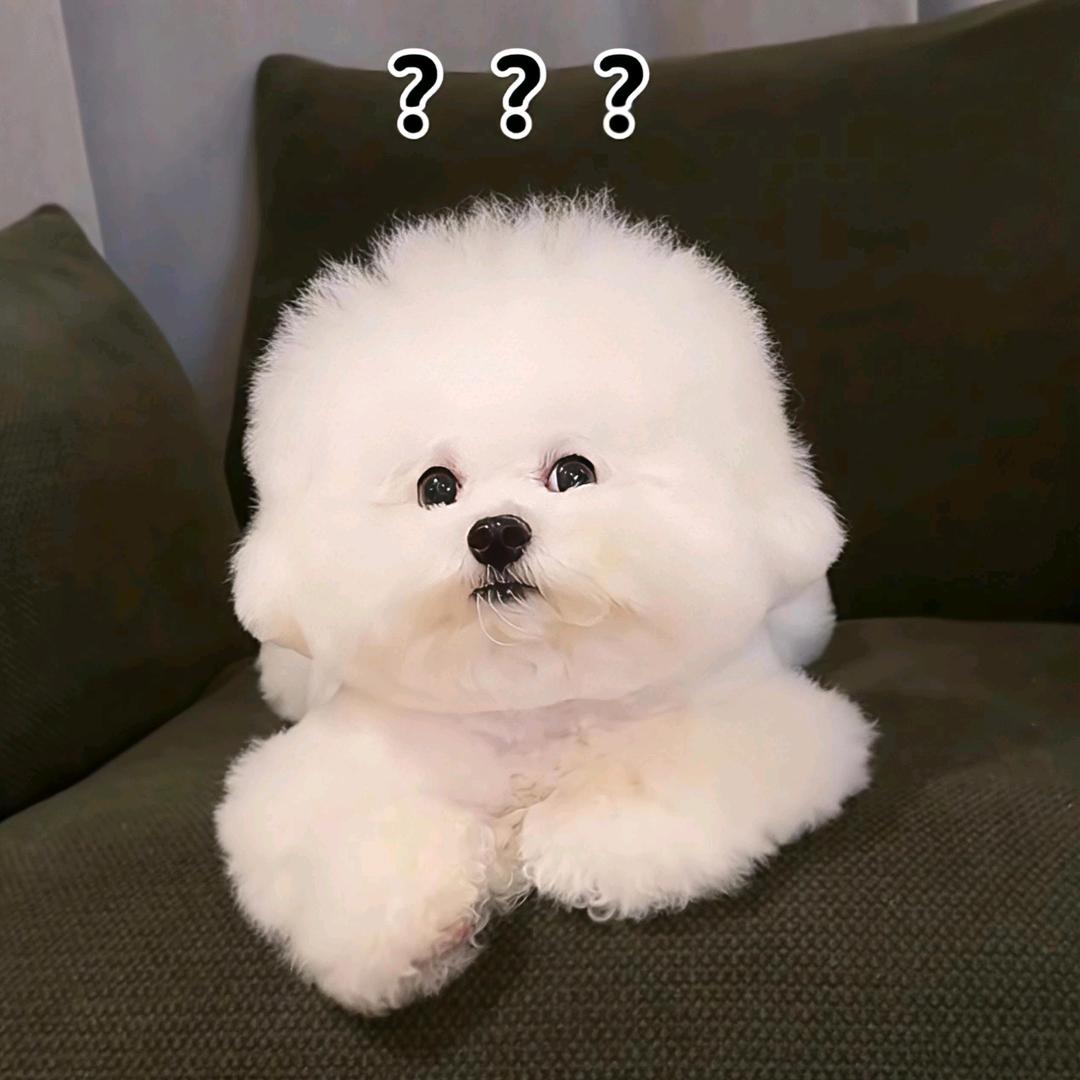 杨洋洋(≧ω≦)/
