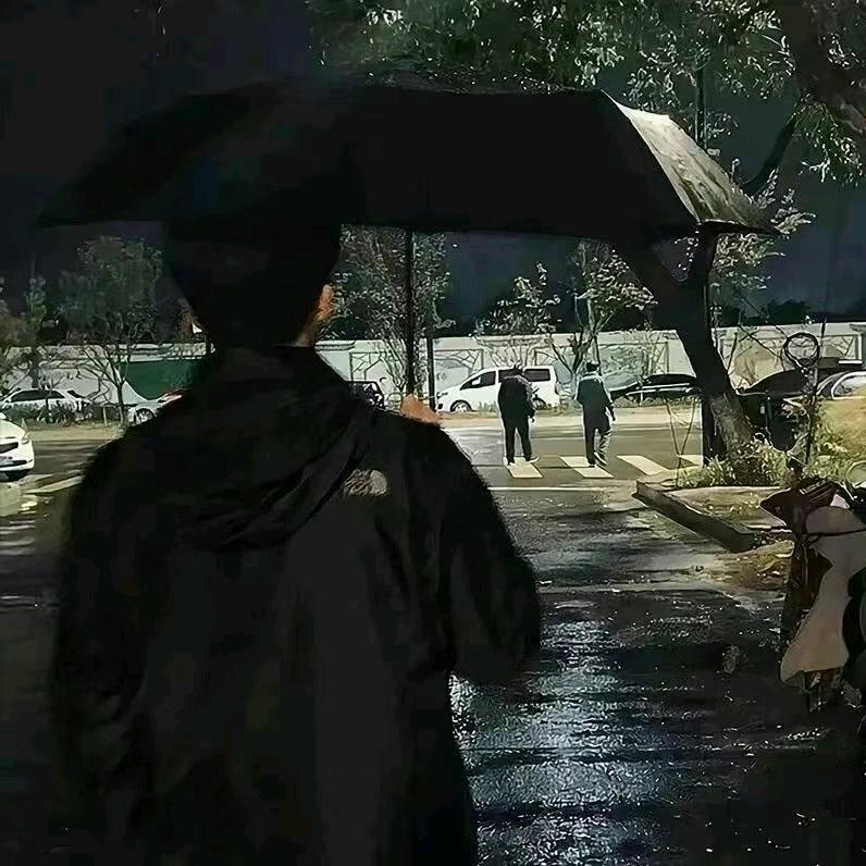鹤归