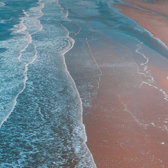 面朝大海生猪贸易 （小周）