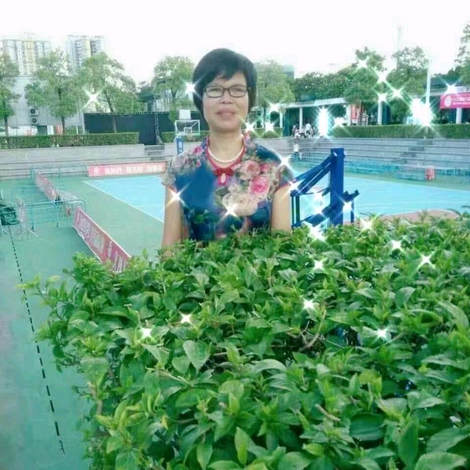 用户:诚实